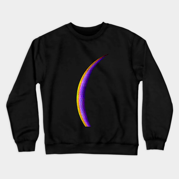 Colorful Crescent Moon Crewneck Sweatshirt by funhousejen